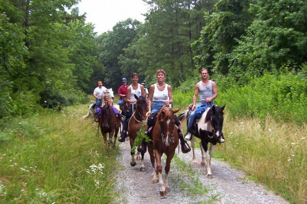 Marmaris Horse Safari