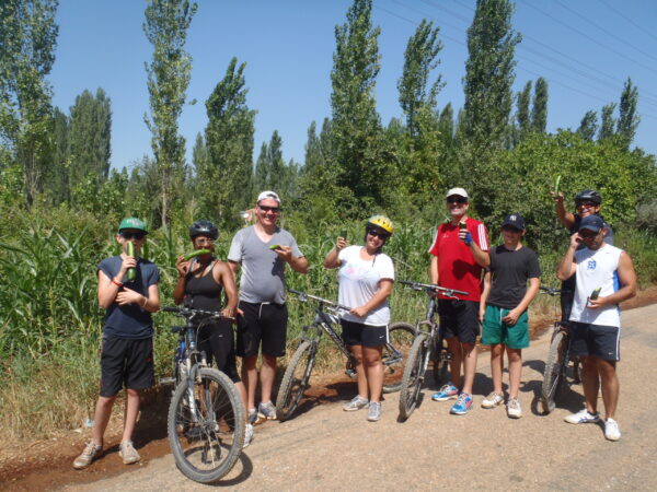 Marmaris Family Bicycle Tours